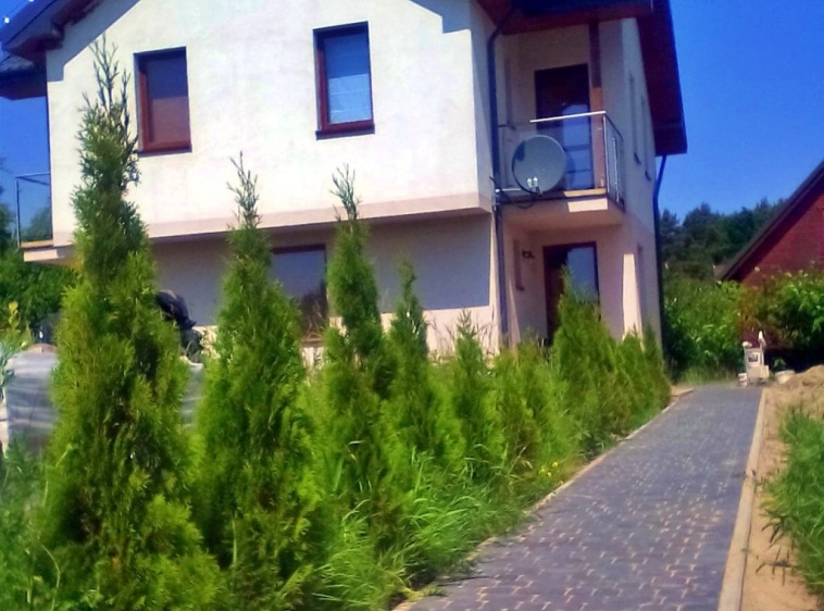 Gryf Dębki 